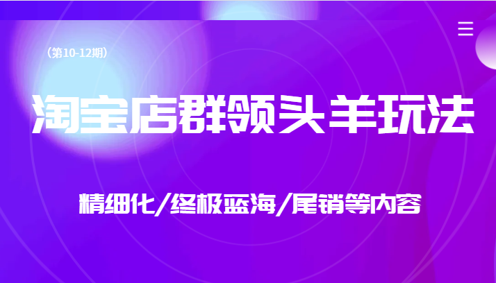 淘宝店群领头羊玩法，精细化/终极蓝海/尾销等内容（第10-12期）-桐创网