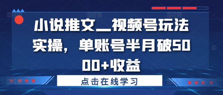 小说推文—视频号玩法实操，单账号半月破5000+收益-桐创网