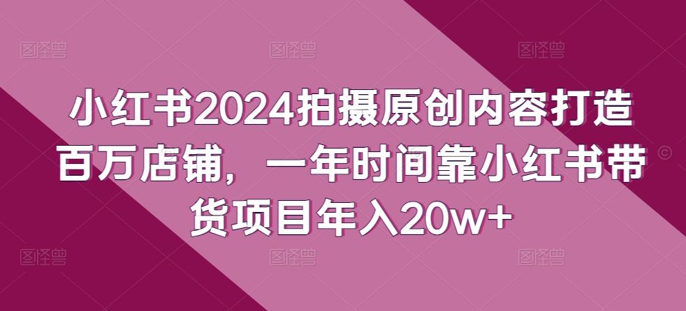 小红书2024拍摄原创内容打造百万店铺，一年时间靠小红书带货项目年入20w+-桐创网