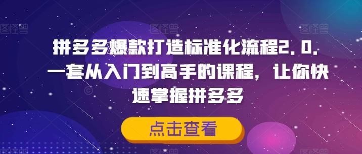 拼多多爆款打造标准化流程2.0，一套从入门到高手的课程，让你快速掌握拼多多-桐创网