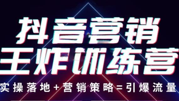 抖音营销王炸训练营，实操落地+营销策略=引爆流量（价值8960元）-桐创网