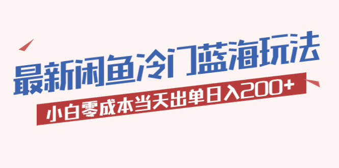 （5903期）2023最新闲鱼冷门蓝海玩法，小白零成本当天出单日入200+-桐创网