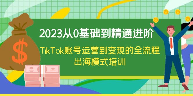 （6299期）2023从0基础到精通进阶，TikTok账号运营到变现的全流程出海模式培训-桐创网