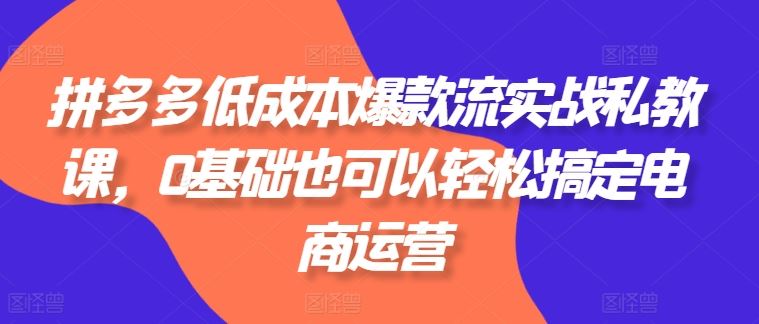 拼多多低成本爆款流实战私教课，0基础也可以轻松搞定电商运营-桐创网