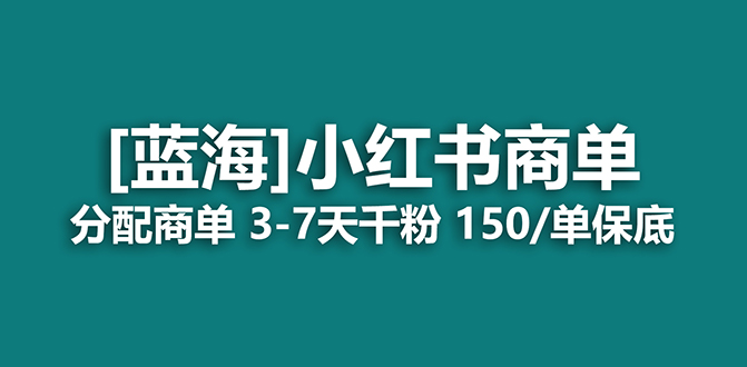 （7349期）2023蓝海项目，小红书商单，快速千粉，长期稳定，最强蓝海没有之一-桐创网