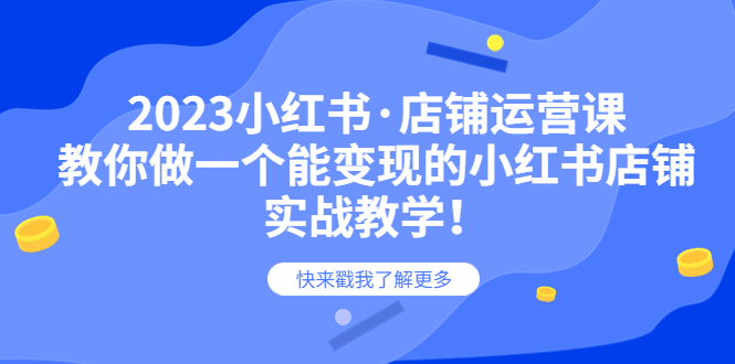 （6127期）2023小红书·店铺运营课，教你做一个能变现的小红书店铺，20节-实战教学-桐创网