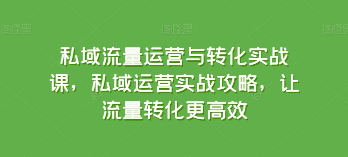 私域流量运营与转化实战课，私域运营实战攻略，让流量转化更高效-桐创网