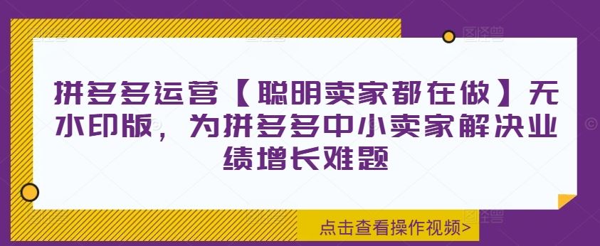 拼多多运营【聪明卖家都在做】无水印版，为拼多多中小卖家解决业绩增长难题-桐创网