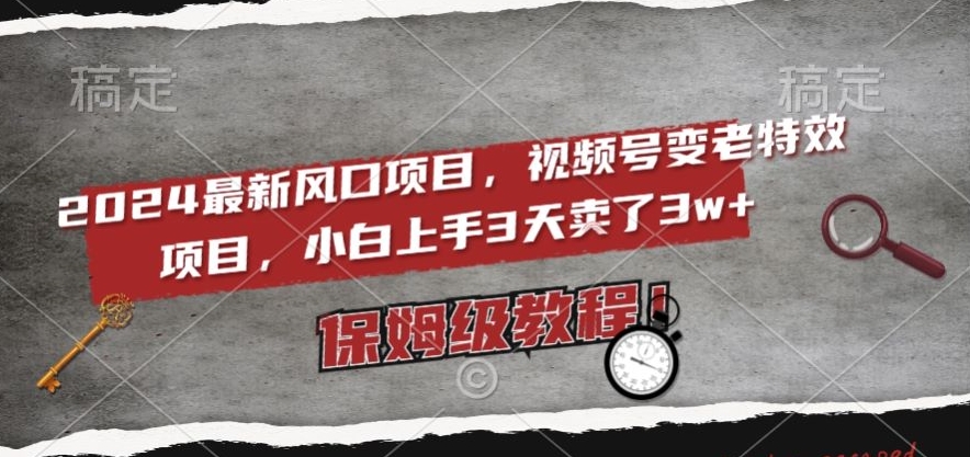 2024最新风口项目，视频号变老特效项目，电脑小白上手3天卖了3w+，保姆级教程【揭秘】-桐创网