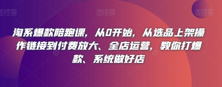 淘系爆款陪跑课，从0开始，从选品上架操作链接到付费放大、全店运营，教你打爆款、系统做好店-桐创网