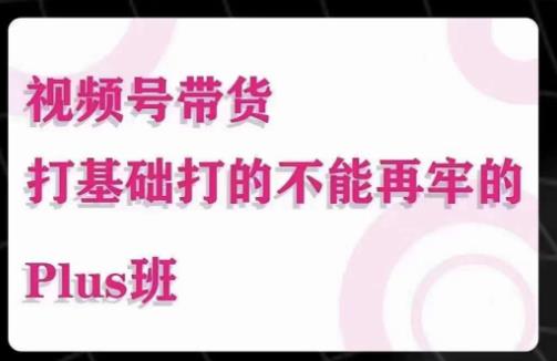 大播汇·视频号带货Puls班，视频号底层逻辑，起号自然流鱼塘等玩法-桐创网