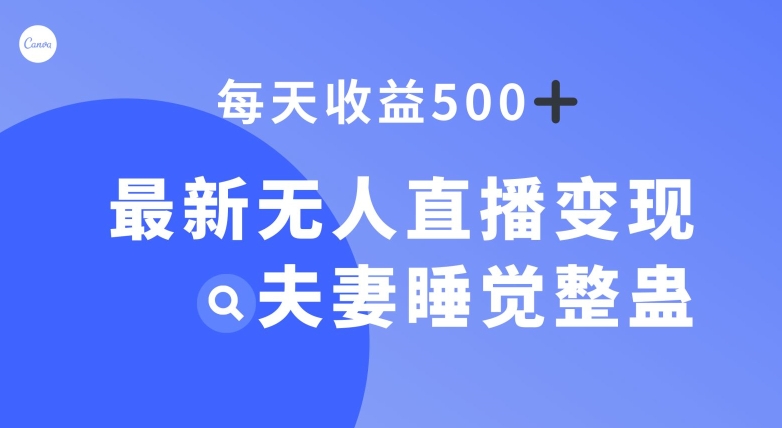 最新无人直播变现，夫妻睡觉整蛊，每天躺赚500+【揭秘】-桐创网