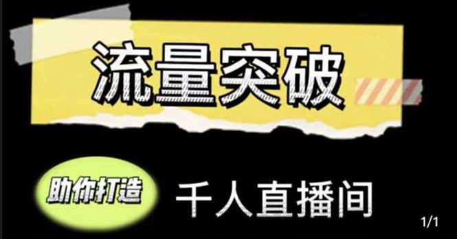 直播运营实战视频课，助你打造千人直播间（14节视频课）-桐创网