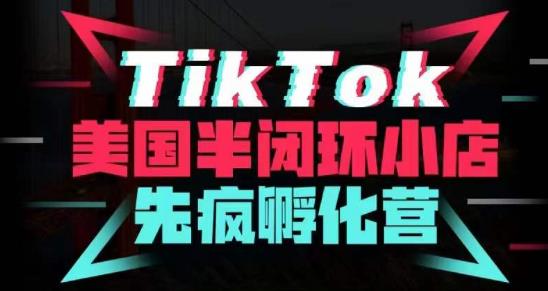 疯人院·TikTok美国半闭环小店孵化营，抢占TikTok美国蓝海市场，开店、运营、带货、投流全实操-桐创网