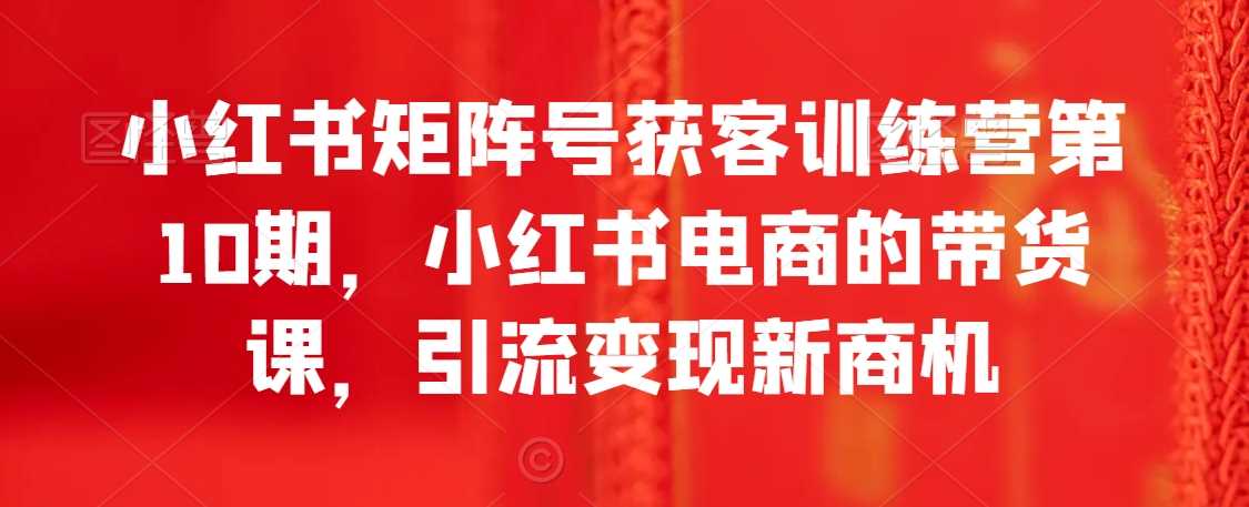 小红书矩阵号获客训练营第10期，小红书电商的带货课，引流变现新商机-桐创网