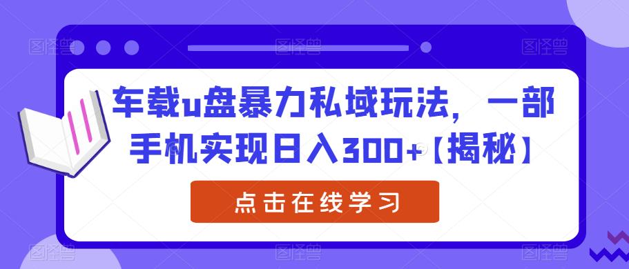 车载u盘暴力私域玩法，一部手机实现日入300+【揭秘】-桐创网