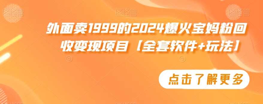 外面卖1999的2024爆火宝妈粉回收变现项目【全套软件+玩法】【揭秘】-桐创网