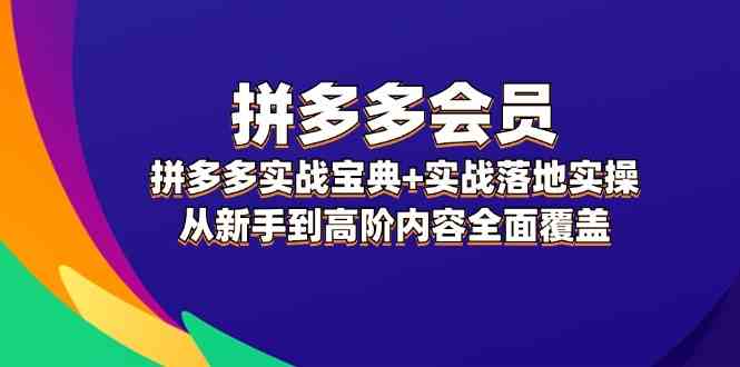 拼多多会员实战宝典+实战落地实操，从新手到高阶内容全面覆盖-桐创网