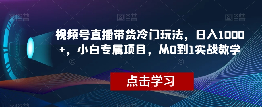 视频号直播带货冷门玩法，日入1000+，小白专属项目，从0到1实战教学【揭秘】-桐创网