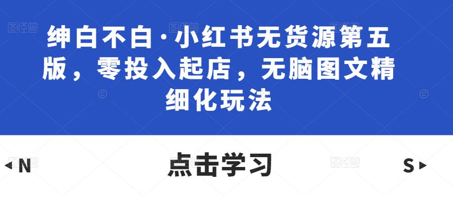 绅白不白·小红书无货源第五版，零投入起店，无脑图文精细化玩法-桐创网