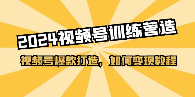 2024视频号训练营，视频号爆款打造，如何变现教程（20节课）-桐创网