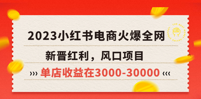 （5840期）2023小红书电商火爆全网，新晋红利，风口项目，单店收益在3000-30000！-桐创网