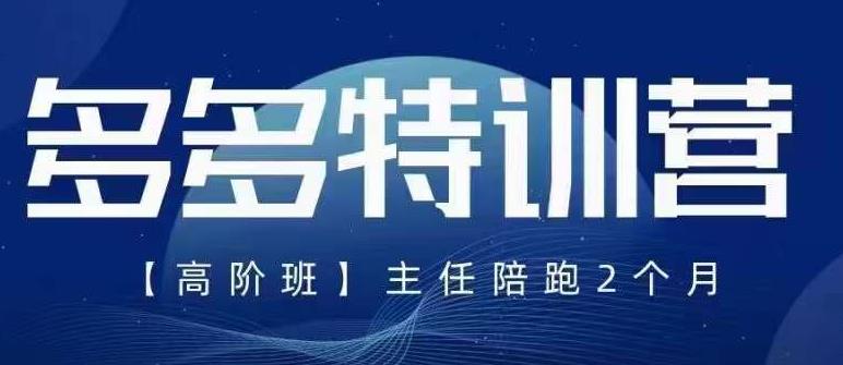 纪主任·5月最新多多特训营高阶班，玩法落地实操，多多全掌握-桐创网