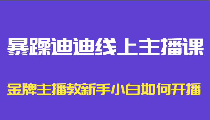 暴躁迪迪线上主播课，金牌主播教新手小白如何开播-桐创网