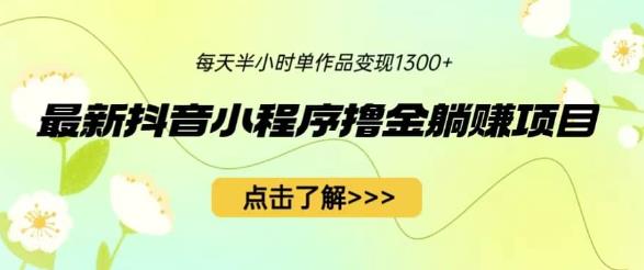 最新抖音小程序撸金躺赚项目，一部手机每天半小时，单个作品变现1300+【揭秘】-桐创网