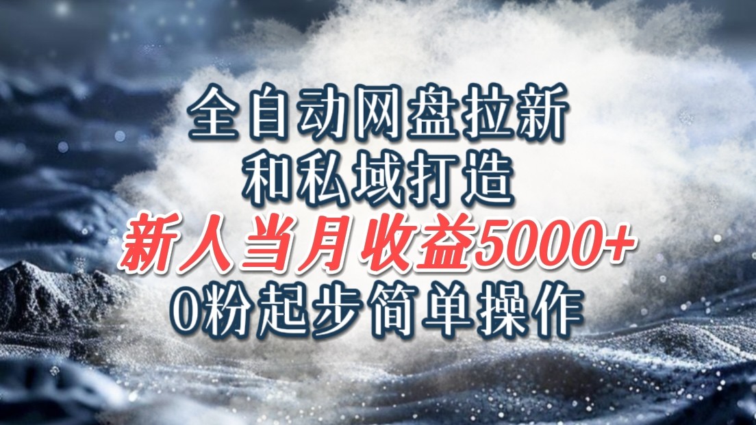 全自动网盘拉新和私域打造，0粉起步简单操作，新人入门当月收益5000以上-桐创网