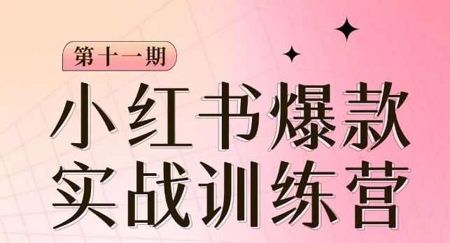 小红书博主爆款训练营第11期，手把手教你从0-1做小红书，从定位到起号到变现-桐创网