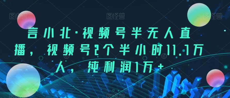 言小北·视频号半无人直播，视频号2个半小时11.7万人，纯利润1万+-桐创网