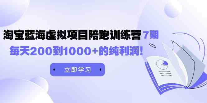 （9541期）黄岛主《淘宝蓝海虚拟项目陪跑训练营7期》每天200到1000+的纯利润-桐创网