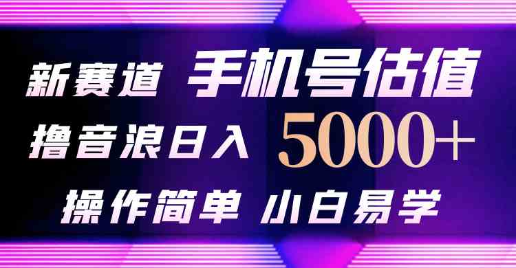 （10154期）抖音不出境直播【手机号估值】最新撸音浪，日入5000+，简单易学，适合…-桐创网