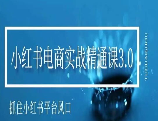 小红书电商实战精通课3.0，抓住小红书平台的风口，不错过有一个赚钱的机会-桐创网