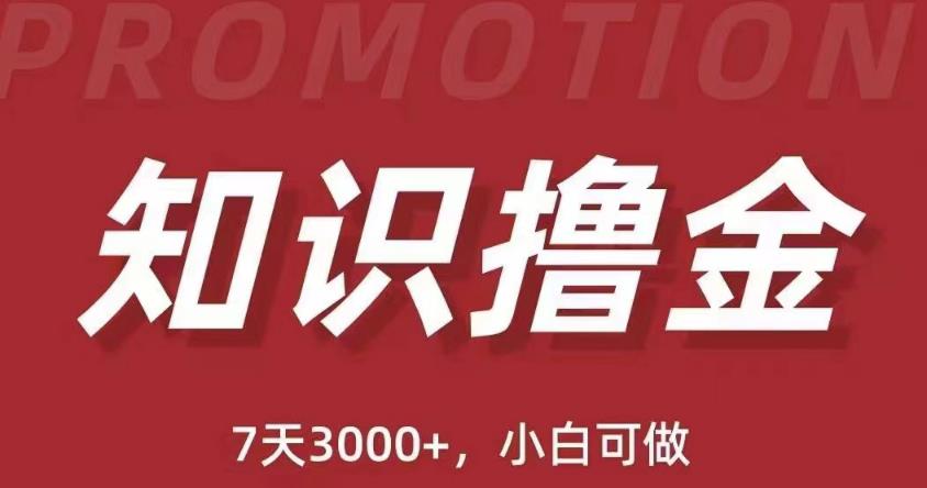 抖音知识撸金项目：简单粗暴日入1000+执行力强当天见收益(教程+资料)-桐创网