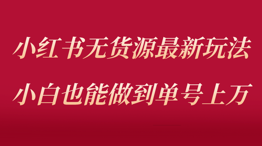 （5646期）小红书无货源最新螺旋起号玩法，电商小白也能做到单号上万（收费3980）-桐创网