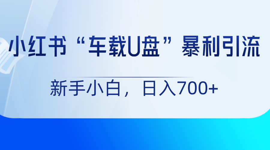 小红书“车载U盘”项目，暴利引流，新手小白轻松日入700+-桐创网