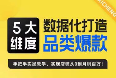 5大维度，数据化打造电商品类爆款特训营，一套高效运营爆款方法论-桐创网