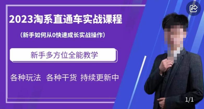 2023淘系直通车保姆式运营讲解，新手如何从0快速成长实战操作，新手多方位全能教学-桐创网