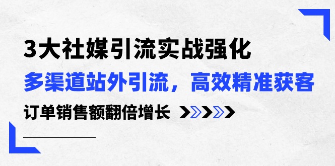 3大社媒引流实操强化，多渠道站外引流/高效精准获客/订单销售额翻倍增长-桐创网