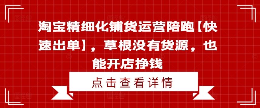 淘宝精细化铺货运营陪跑【快速出单】，草根没有货源，也能开店挣钱-桐创网