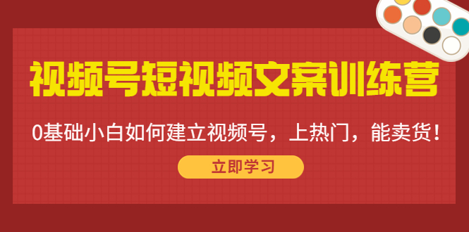 （4266期）视频号短视频文案训练营：0基础小白如何建立视频号，上热门，能卖货！-桐创网