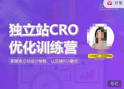 独立站CRO优化训练营，掌握独立站设计秘籍，打造高转化的独立站，让店铺ROI翻倍-桐创网