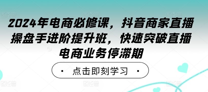 2024年电商必修课，抖音商家直播操盘手进阶提升班，快速突破直播电商业务停滞期-桐创网