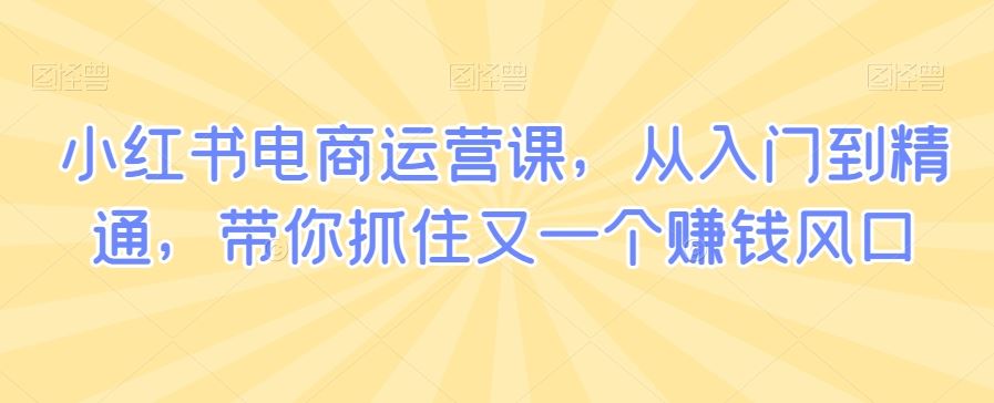 小红书电商运营课，从入门到精通，带你抓住又一个赚钱风口-桐创网