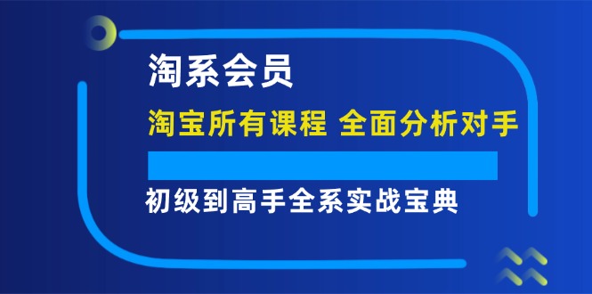 （12055期）淘系会员【淘宝所有课程，全面分析对手】，初级到高手全系实战宝典-桐创网