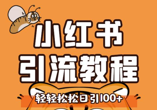 小红书运营引流全系列课程，每天引流100精准粉-桐创网