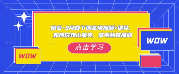 哈哥·3月线下实操课高清视频+课件，如何玩转小而美，高毛利直播间-桐创网