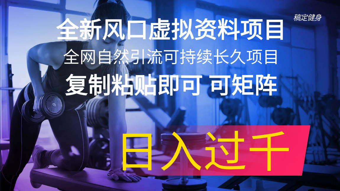 （11587期）全新风口虚拟资料项目 全网自然引流可持续长久项目 复制粘贴即可可矩阵…-桐创网